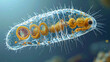 © kalo pedi - Micrograph of a single Paramecium organism in a freshwater environment.