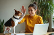© Vadym - Woman in yellow sweater high fives dog in home office. Female freelancer works on laptop with dog. Pet, businesswoman fun together. Woman, dog happy. At wooden desk with laptop, papers.