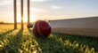 © Aldiwftr - Cricket ball and bat on grassy field at sunset with wickets