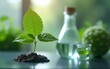 © feng - Plant science laboratory research, biological chemistry test, green nature organic leaves experiment in vitro, field of chemical medicine biotechnology or medical ecology laboratory technology.