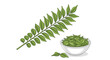 © Sabbir - A sprig of curry leaves next to a bowl full of curry leaves on a white background illustration