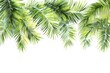 © Rawpixel.com - Palm leaves border nature backgrounds plant.