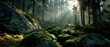 © Duskcraft - Sun Rays Shine Through Forest Trees Mossy Rocks Landscape Scenic View Tranquil Nature Scene Wilderness Exploration