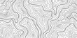 © 4zevar - Abstract topographic contour lines map design in black and white