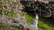 © LT - woman visit visit the cherry blossom in hitome senbonzakura in sendai, Japan