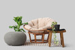 © Pixel-Shot - Cocoon chair with table, pouf and plants on light background