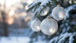 © Pixel Zone - Close up of frosted white christmas ornaments hanging on a snow covered evergreen tree branch with soft bokeh background
