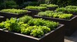 © NOR - Vegetable garden with raised beds