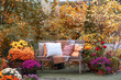 © katyamaximenko - Cozy wooden bench with pillows surrounded by blooming chrysanthemums and colorful autumn foliage creating a relaxing garden atmosphere in fall season. Space for relax in lush yellow garden