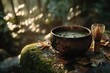 © whitestorm - Steaming matcha tea in a rustic bowl with chasen, on mossy ground, sunlit.