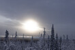 © Mila - Sunrise in the forest. Dempster Highway, Canada