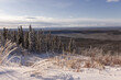 © Mila - Dempster Highway near the arctic circle. first snow