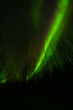 © Mila - Aurora Borealis, Northern Lights, near Arctic Circle, Dempster Highway, Canada.