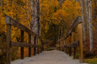 © Mila - bridge in autumn. Selected focus.