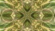 © art - Kaleidoscopic Green Flower Fractal Abstract Art Texture Background