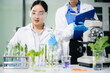 © laddawan - Two Asian female scientists analyze green plants and vegetables in biotech lab. Microscopes, notes, safety gear, and real people in food testing and modern research concept.