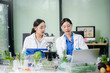 © laddawan - Two Asian female scientists analyze green plants and vegetables in biotech lab. Microscopes, notes, safety gear, and real people in food testing and modern research concept.