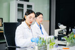 © laddawan - Asian food scientists test vegetables in biotech lab using microscope and laptop. Nutrition, safety, and clean food research in vertical orientation
