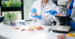 © laddawan - Scientist team testing food samples in lab with microscope, vegetables,  for safety, nutrition, and biotechnology
