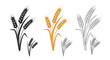 © Maja - Wheat plant illustrations in different styles, black, color, and outline.