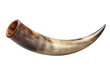 © jahanarabegum7973 - Natural Bull Horn Object isolated on a transparent background