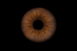 © New Africa - Human eye, closeup. Brown iris with pupil on black background