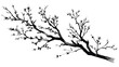 © Areena - Detailed Drawing of Tree Branch with Sprigs Word - Botanical Illustration for Designs
