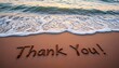 © Husen - The words 'Thank You!' are written in the sand at the edge of the ocean.