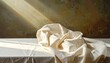 © Payoner - A white cloth draped on a table with sunlight streaming across