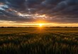 © photohappy - Golden hour sunset over vast southern agricultural fields, highlighting the peaceful rural landscape at dusk and the dramatic coastal plain sky ,orange ,agriculture ,yellow