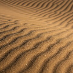  Abstract macro view of fine desert sand showing beautiful natural wind-blown ripple patterns and striking geological surface texture ,sculpted ,wind ,macro