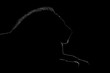 © Nick Dale - Mono close-up of lion lying in silhouette