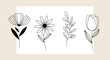 © Muflif - Floral Line Art Collection Delicate Flower Illustrations