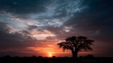 A baobab tree silhouette against a dramatic sunset sky over an African savanna