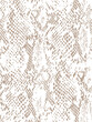 © dan - patrón animal tipo serpiente en beige sobre fondo blanco