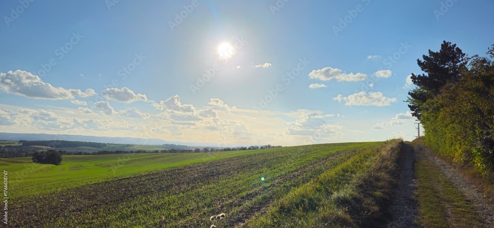 Landschaft beim Bismarckturm bei Osterwieck im Herbst, Harz, Sachsen-Anhalt