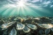 © Thanapong - Underwater oyster reef with sunlight rays penetrating clear water, showcasing marine life and natural habitat in serene ocean environment full of shells and aquatic plants