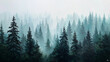© Kateryna - Green forest in fog, minimalist nature