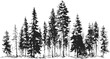 © cac_tus - Pine trees sketch hand drawn forest silhouette with detailed coniferous foliage — stock vector