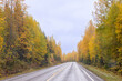 © Mila - road in autumn forest