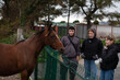 © Мар'ян Філь - A brown horse stands near fence while three people in hoodies and jackets observe with interest. The outdoor moment of companionship and animal interaction, mental health, depression