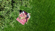 © Iuliia Sokolovska - Female friends eating pizza on summer picnic in park, relaxing on grass and having fun, aerial drone view from above