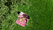 © Iuliia Sokolovska - Female friends eating pizza on summer picnic in park, relaxing on grass and having fun, aerial drone view from above