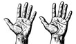 © msmdesign - Two hands, hand drawn illustration of palmistry, palm reading and fortune telling