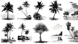 Black and white drawing of various tropical trees and landscapes.