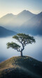 © starone86 - arbre de solitude