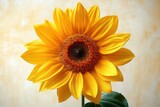 Close-up of a bright yellow sunflower with detailed petals and central disk against a soft, neutral background, evoking warmth and natural beauty