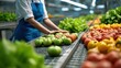 © AndiAzis - A person wearing a blue apron stands near various fresh produce, showcasing a vibrant array of colorful fruits and vegetables.