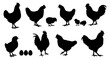 © Maxpoint Imran - Collection of black silhouettes of chickens roosters hens and chicks on a white background