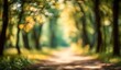 © boy - A blurred path winds through sun-dappled trees in a peaceful forest